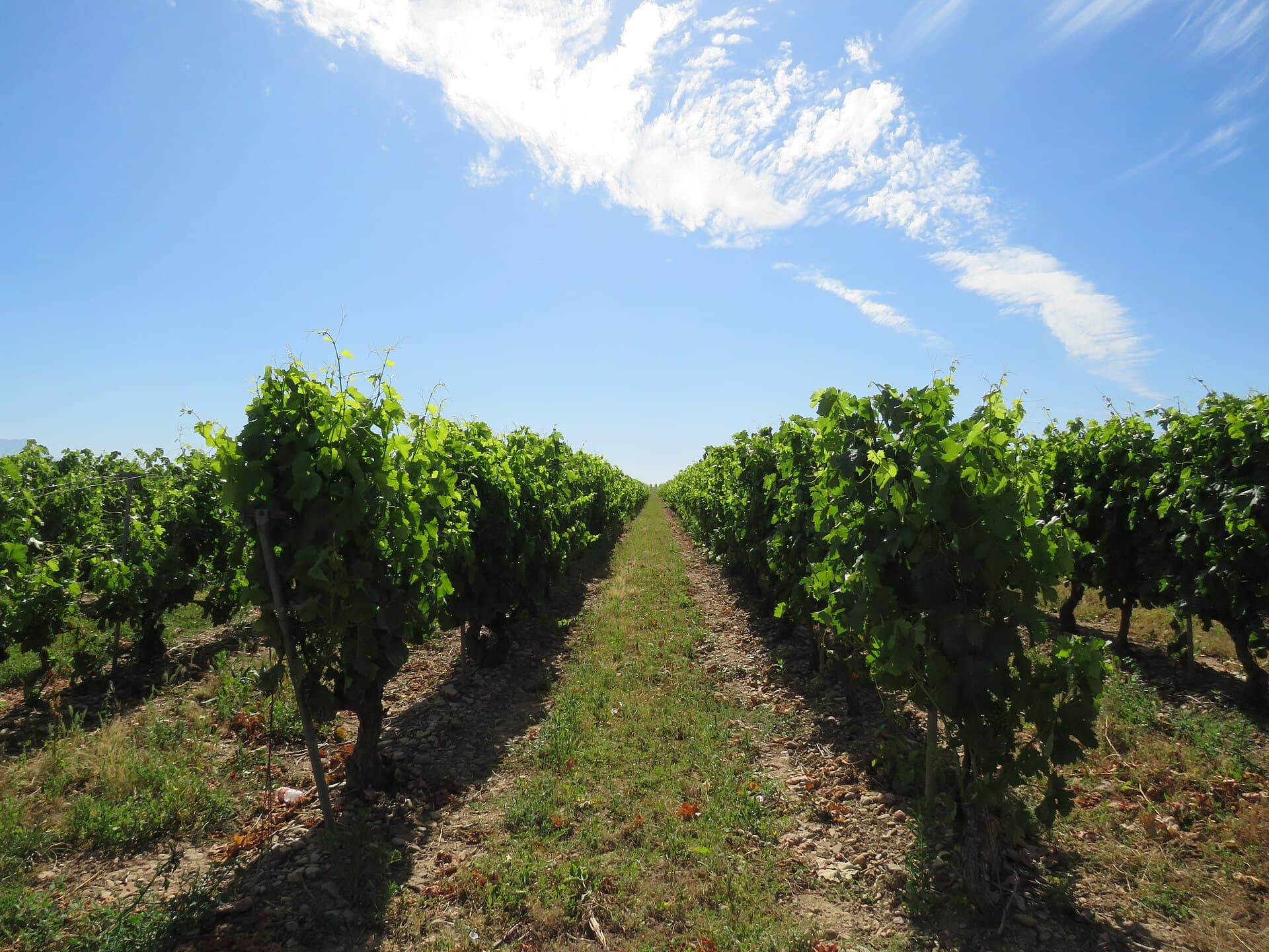 La Rioja