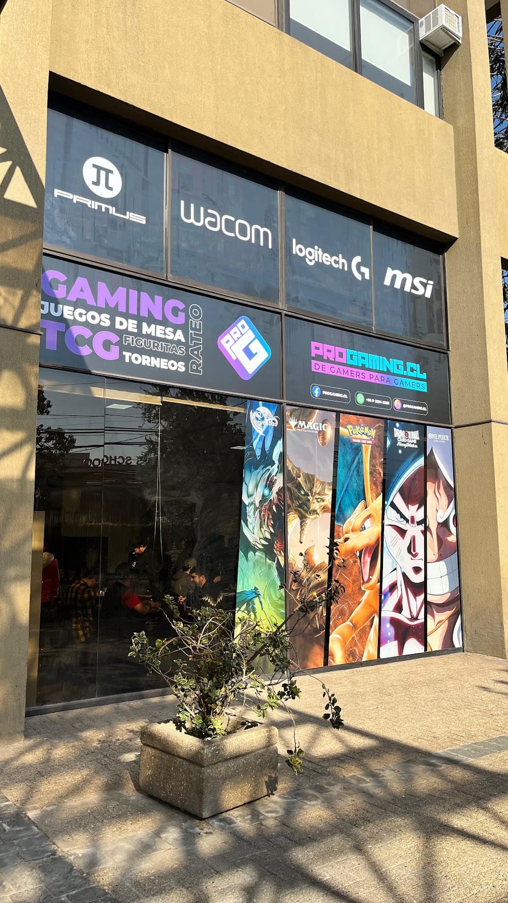 Progaming.cl