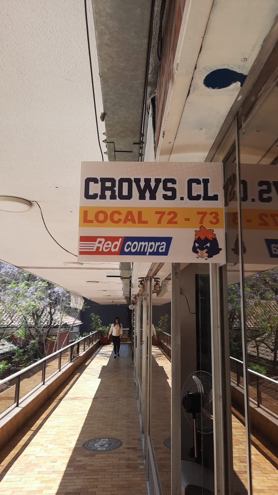 crows.cl