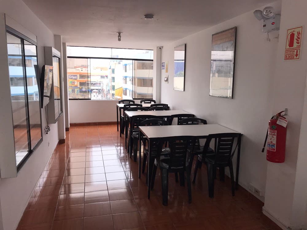 Palmito's